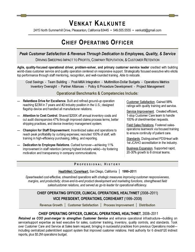 Vp sales operations resume