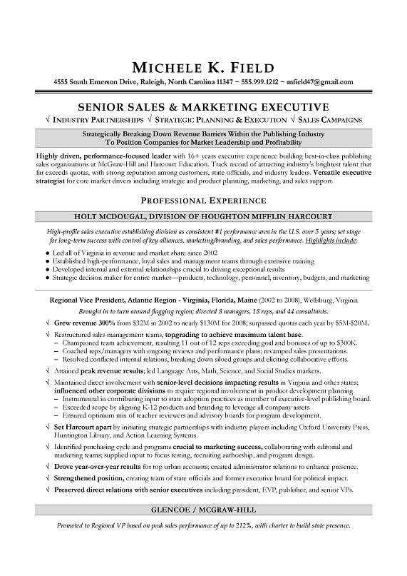 Regional Vp Sales Sample Resume Executive Resume Writing Sales