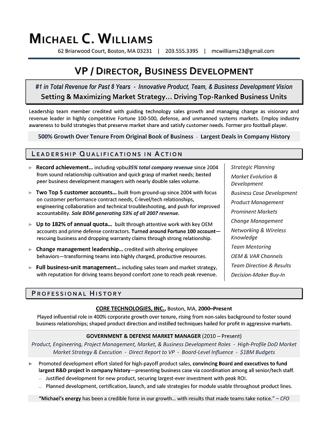 vp business development sample resume
